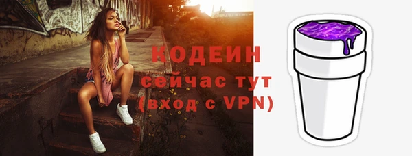 дживик Абаза