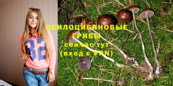 стаф Осташков