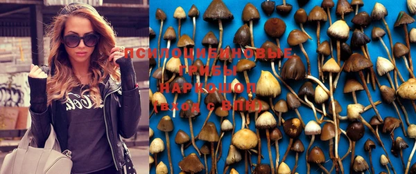 jwh Абинск