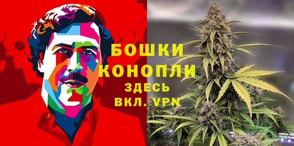 дживик Абаза
