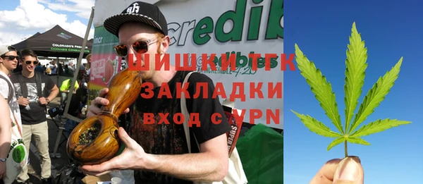 стаф Осташков