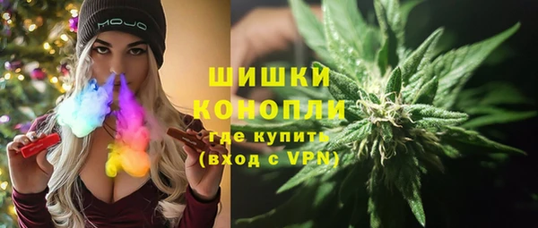 дживик Абаза