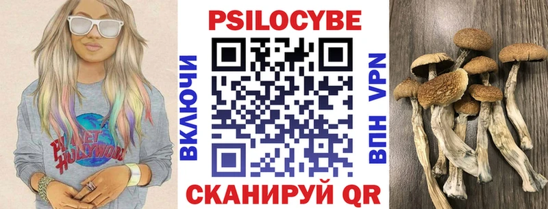 Псилоцибиновые грибы Cubensis  гидра ссылки  Алейск 