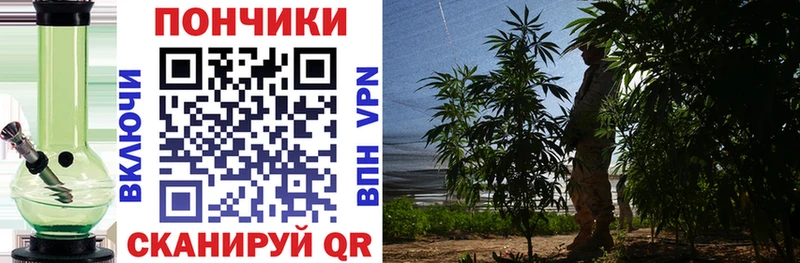 где продают наркотики  Алейск  МАРИХУАНА гибрид 